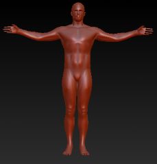 ZBrushͨ^@ʾc[صõw